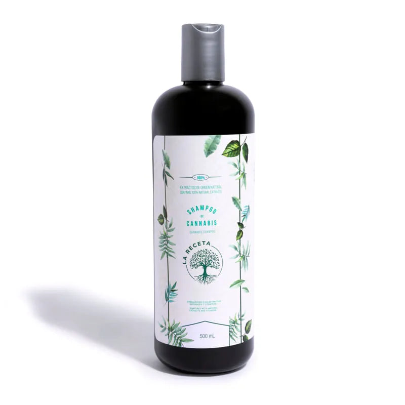 SHAMPOO ARGAN PARA CABELLOS SECOS LA RECETA