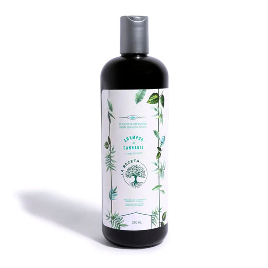 SHAMPOO ARGAN PARA CABELLOS SECOS LA RECETA