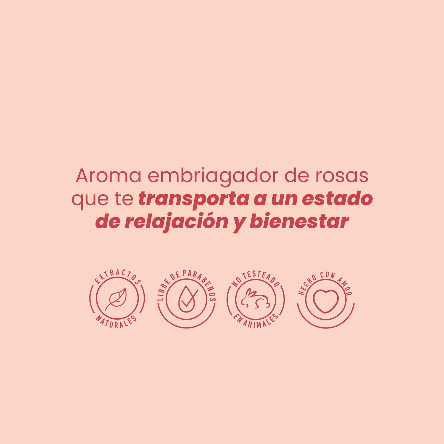 CAJA DUO TÓNICO DE ROSAS HIDRATANTE ILUMINADOR ANYELUZ